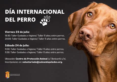 Día Internacional del Perro Ayuntamiento de Arroyomolinos