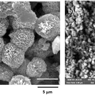 Sem Micrographs Of Crystallized And Functionalized Silica Particles