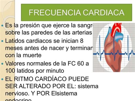 Aparato Cardiocirculatorio Ppt