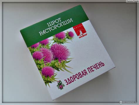 Применение расторопши - hedpacounbi