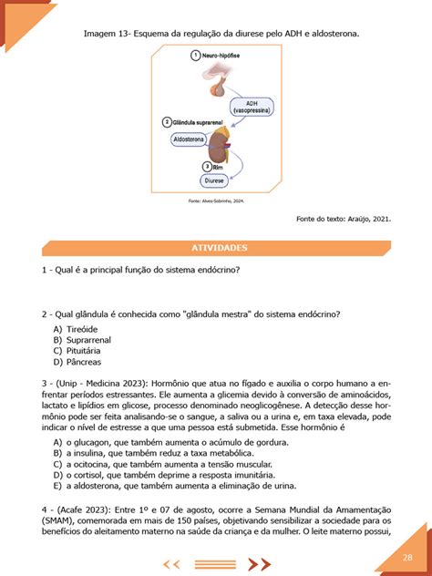 Questões Sobre Sistema Endócrino - Atividades sobre o Sistema Endócrino | PDF | Insulina | Hormônio