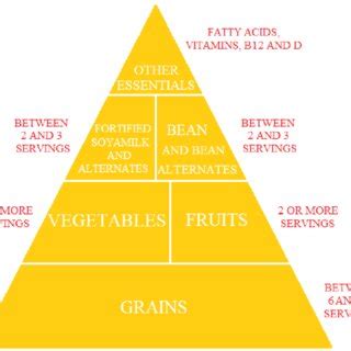 Vegan eating pyramid (Modified scheme) [31] | Download Scientific Diagram