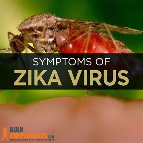 Zika Virus: Symptoms, Causes & Treatment