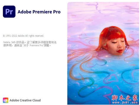 PR简化版2024下载 Adobe Premiere Elements 2024 PRE2024 v24 2 0 358 中文直装免费版