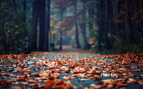 Autumn - Desktop Wallpaper