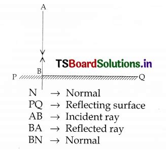 Ts Th Class Physical Science Study Material Th Lesson Reflection Of