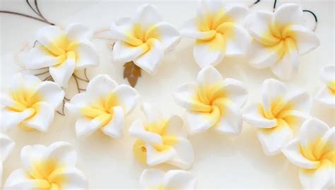 Pcs White Polymer Clay Plumeria Flower Beads Mm Medium Size Hand