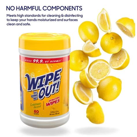 Buy Wipe Out Wet Wipes Antiseptic Wipe Lemon And Fresh Hand Sanitizer