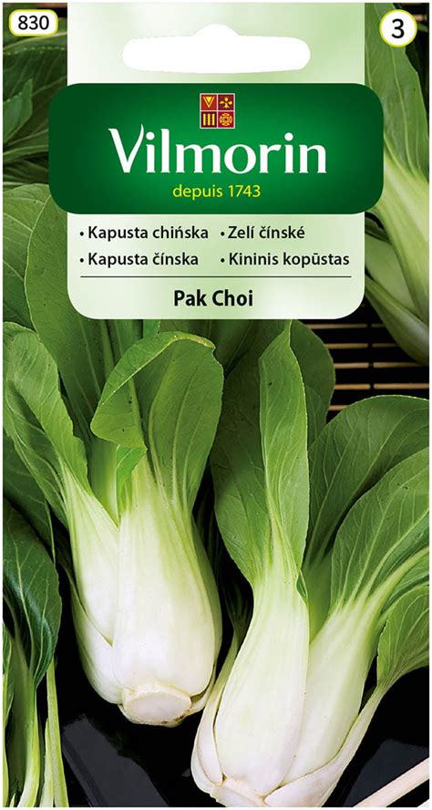 Nasiona Kapusty chińskiej Pak Choi 2g Vilmorin Listek pl