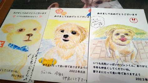 愛犬に年賀状 宮崎公立大学近くの不動産シガレットホーム日記