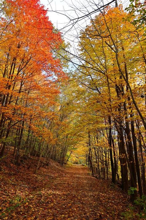 North America Fall Landscape Eastern Townships Bromont Stock Photo