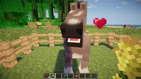 Minecraft Tutorial Deutsch Wie Z Hmt Man Sich Ein Pferd Mo Creature