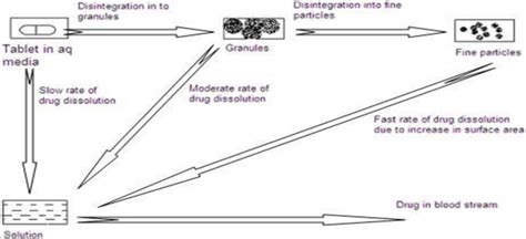 Schematic Representation Of Tablet Disintegration And Subsequent Drug Download Scientific