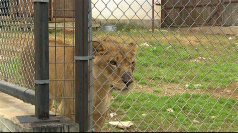 Austin Zoo animals need help getting through winter