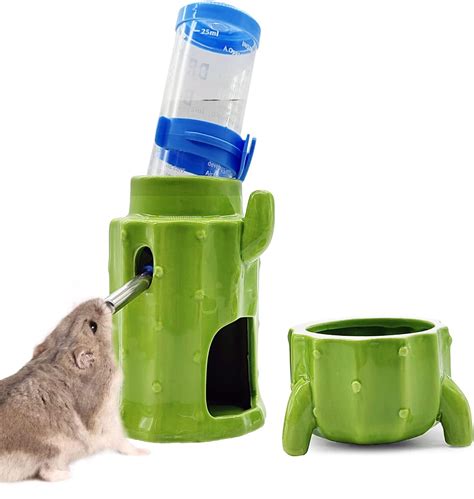 Amazon Hamiledyi Hamster Water Bottle With Holder Cactus Ceramic