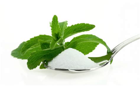 Stevia La Hierba Dulce Tu Presencia En Internet Te Lleva Por El