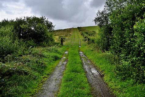 Rough Lane Faccary Kenneth Allen Geograph Ireland