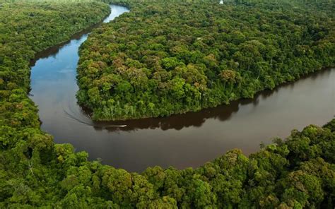 Río Esequibo: Todo lo que necesita saber sobre él