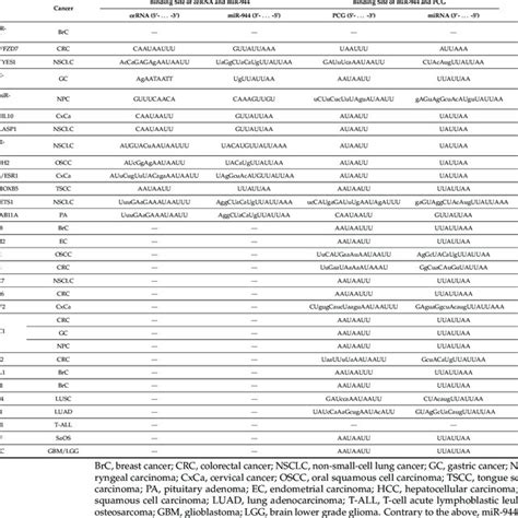 The CeRNA Networks Of MiR 944 The CeRNA Networks Of MiR 944 Involve 11