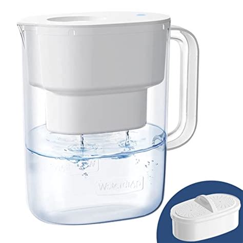 Best Water Filter For Newts 2024 Takashi NYC