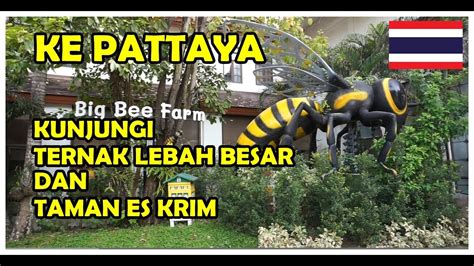 Ke Pattaya Mengunjungi Ternak Lebah Besar Big Bee Farm Dan Taman Es