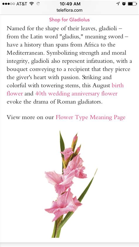 Cool Gladiolus Flower And Meaning 20+