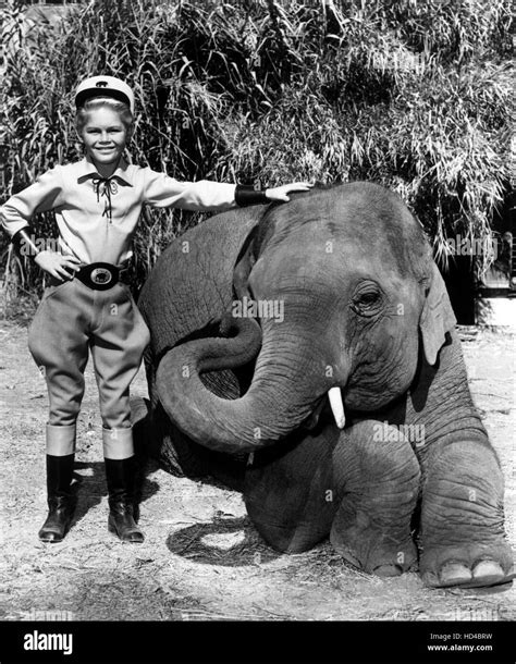 CIRCUS BOY, Mickey Dolenz (as Mickey Braddock), 1956-58 Stock Photo - Alamy