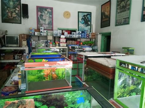 Ini 15 Toko Aquarium Terlengkap Di Kota Probolinggo Ulastempat