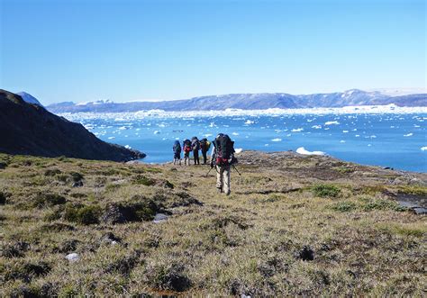 Greenland Black Feather