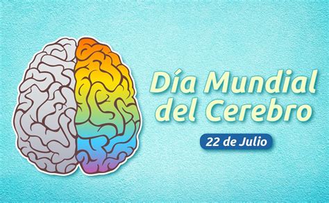 22 De Julio ¿cuál Es El Origen Del Día Mundial Del Cerebro Chapin Radios