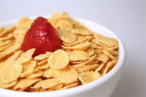 Cereales Sin Azúcar ¿cuales Son Beneficios Al Consumir Tipos Y Más