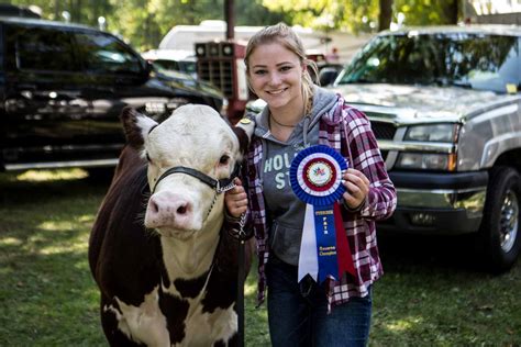 Beef Cattle Show | Uxbridge Fair