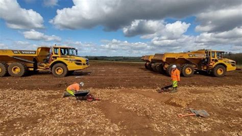 Reptiles moved to safety ahead of A417 roadworks - BBC News