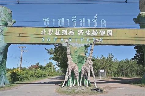 Bangkok Post - Kanchanaburi Safari park closed 14 days