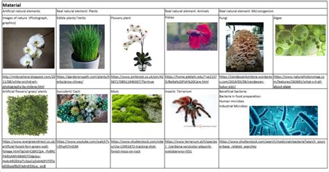 Examples of artificial and real biological materials used in the survey ...