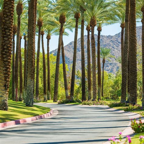 10 Best Things To Do In Palm Springs With Kids Palm Springs Day