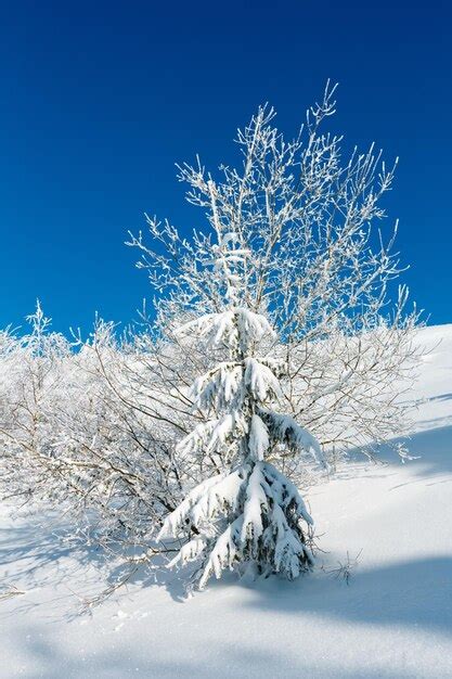 Premium Photo | Winter mountain snowy landscape