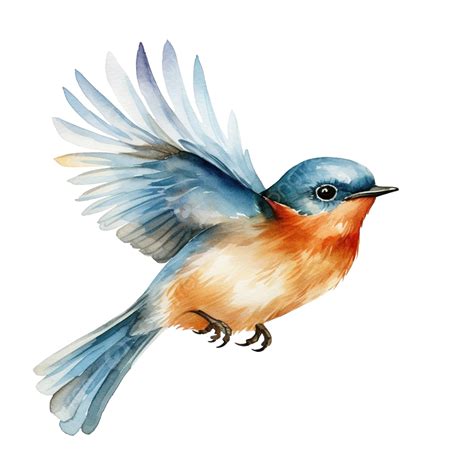 Watercolor Bird Clip Art, Watercolor, Bird, Animal PNG Transparent ...