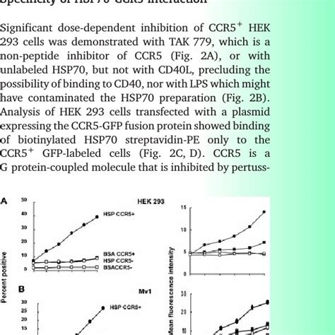 Specificity Of Binding Of Fitc Labeled Hsp70 Or Bsa To A Hek 293 Download Scientific