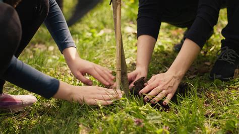 Salvaguardar Ecol Gico Equilibrar Y Natural Ambiente Madre Y Ni O