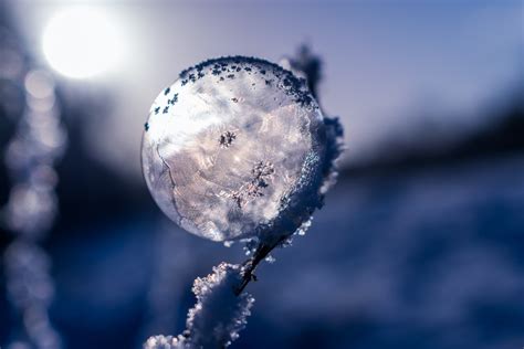 Images Gratuites Paysage Eau La Nature Branche Neige Du Froid