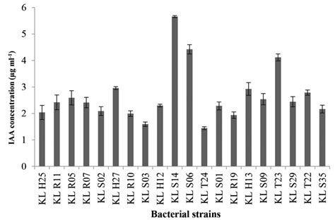 Indole Acetic Acid Iaa Production By Bacterial Strains Isolated From