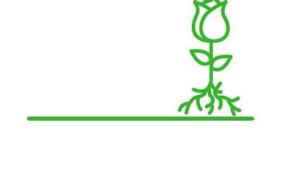 Летний сад - интернет-магазин растений с реальными фото — Питомник ...