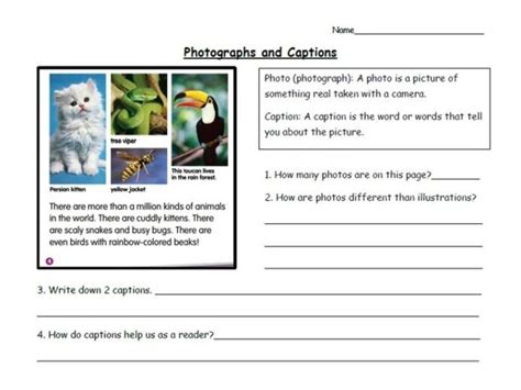 Text Features First Grade Worksheets Worksheets Master