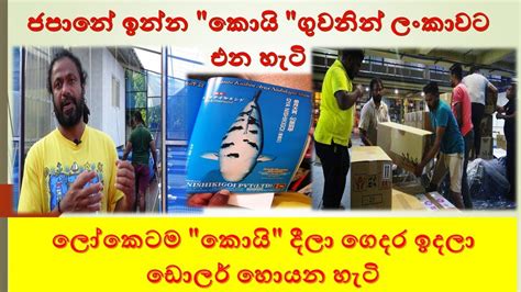 amila indika bandara japan koi ලකටම කය දල ගදර ඉදල ඩලර හයන