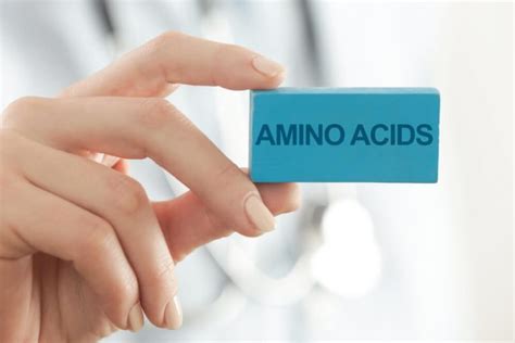 Top 10 Health Benefits of Amino Acids