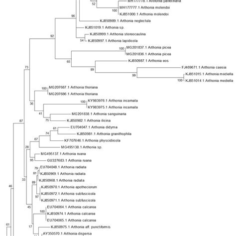 Maximum Likelihood Ml Analysis Inferred From Nrits Region Sequences