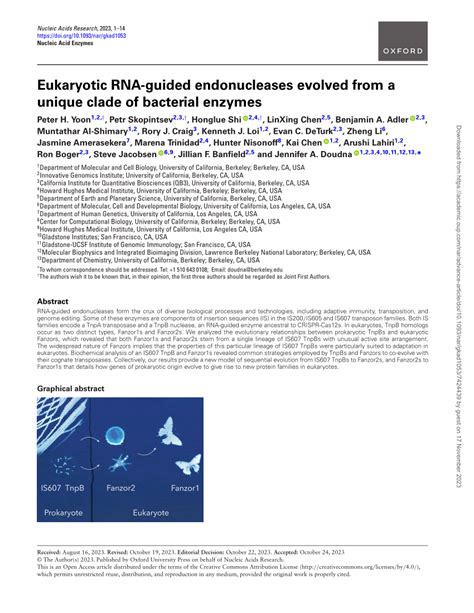 Pdf Eukaryotic Rna Guided Endonucleases Evolved From A Unique Clade Of Bacterial Enzymes