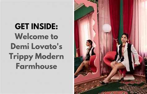 Get Inside Welcome To Demi Lovato S Trippy Modern Farmhouse