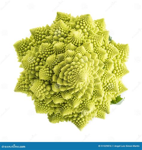 Romanesco Broccoli Close Up The Fractal Vegetable Is Known For It`s